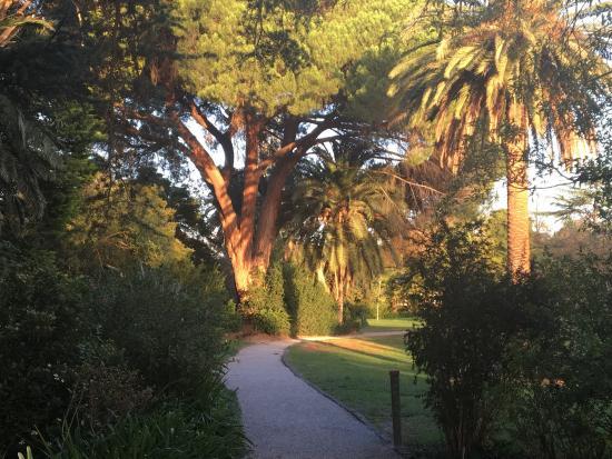 Hedgeley Dene Gardens